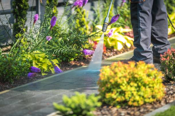 Best Gutter Cleaning  in Washington Heights, NY